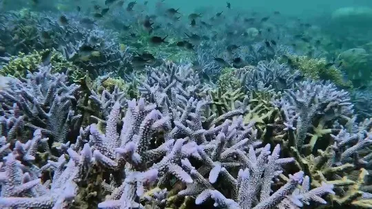 south-lombok1