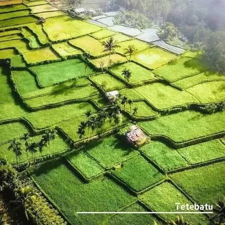 Tete Batu Tour