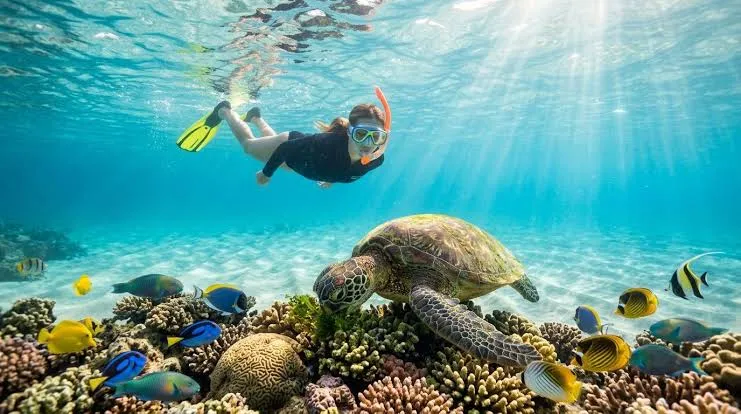 Secret Gili's Tour — Tembowong