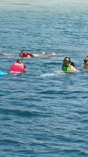 swim & Snorkeling