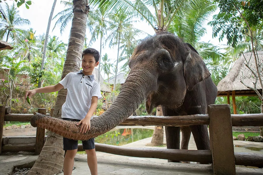 Lombok Wildlife Park & Mataram City Tour