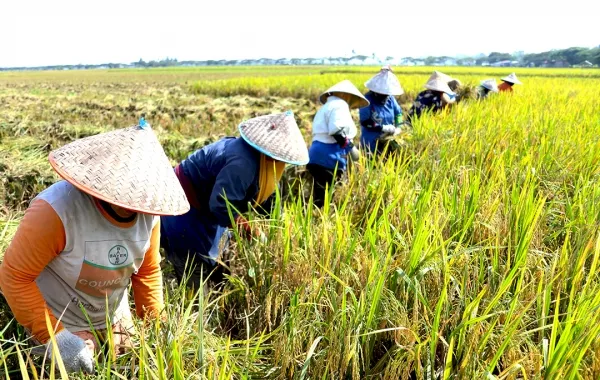 Lombok ATV Adventure, Waterfalls & Traditional Weaving Tour