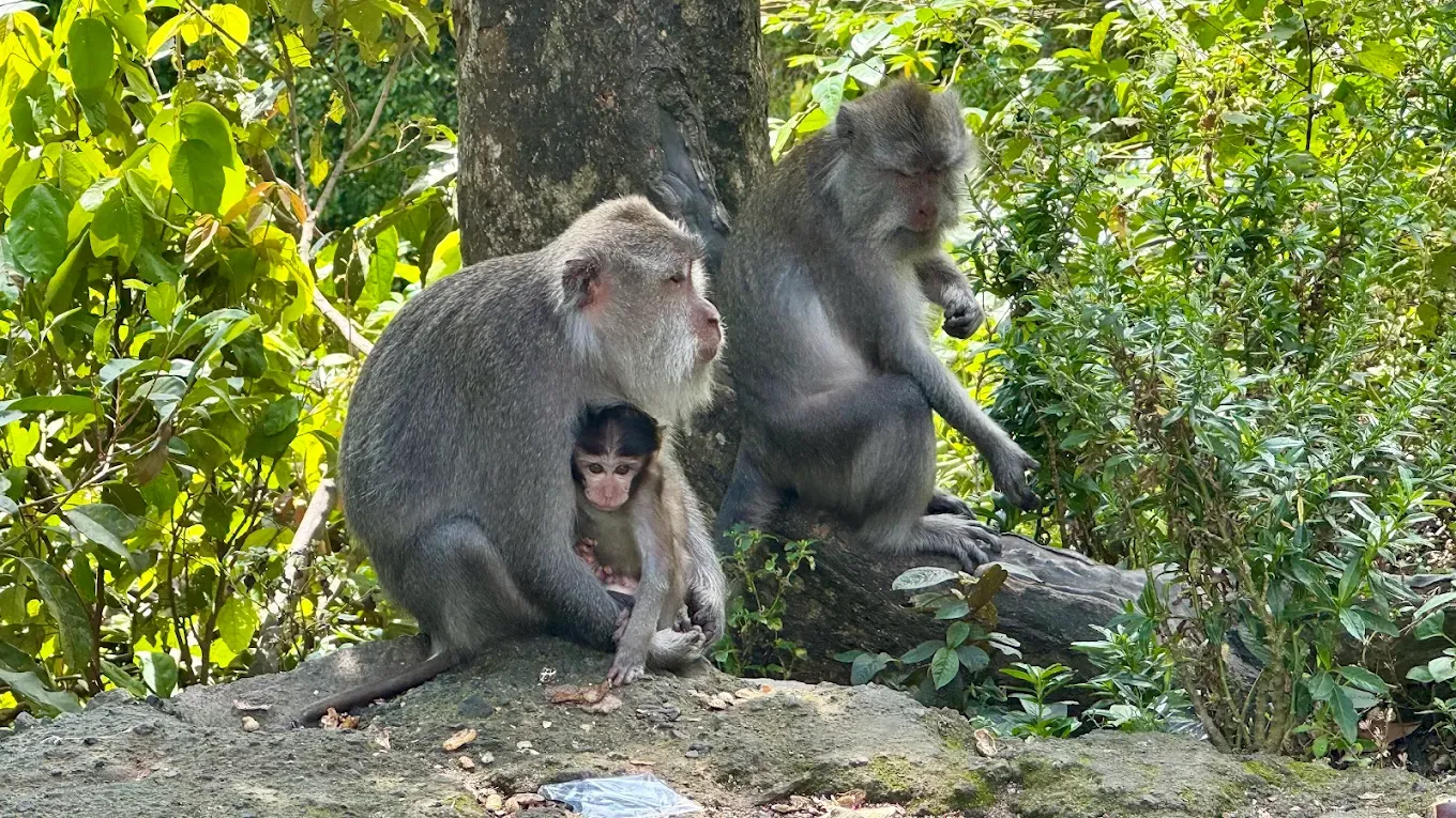 Tete Batu Tour: Nature & Cultural Day Trip