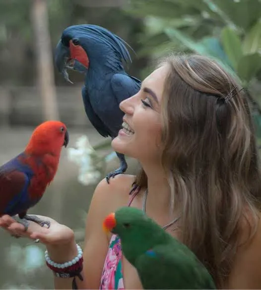 Lombok Wildlife Park & Mataram City Tour