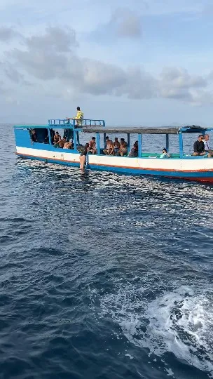 boat to whale shark