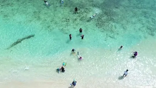 Lombok Pink Beach & Island Hopping Tour