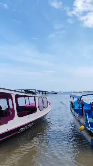 glass bottom boat